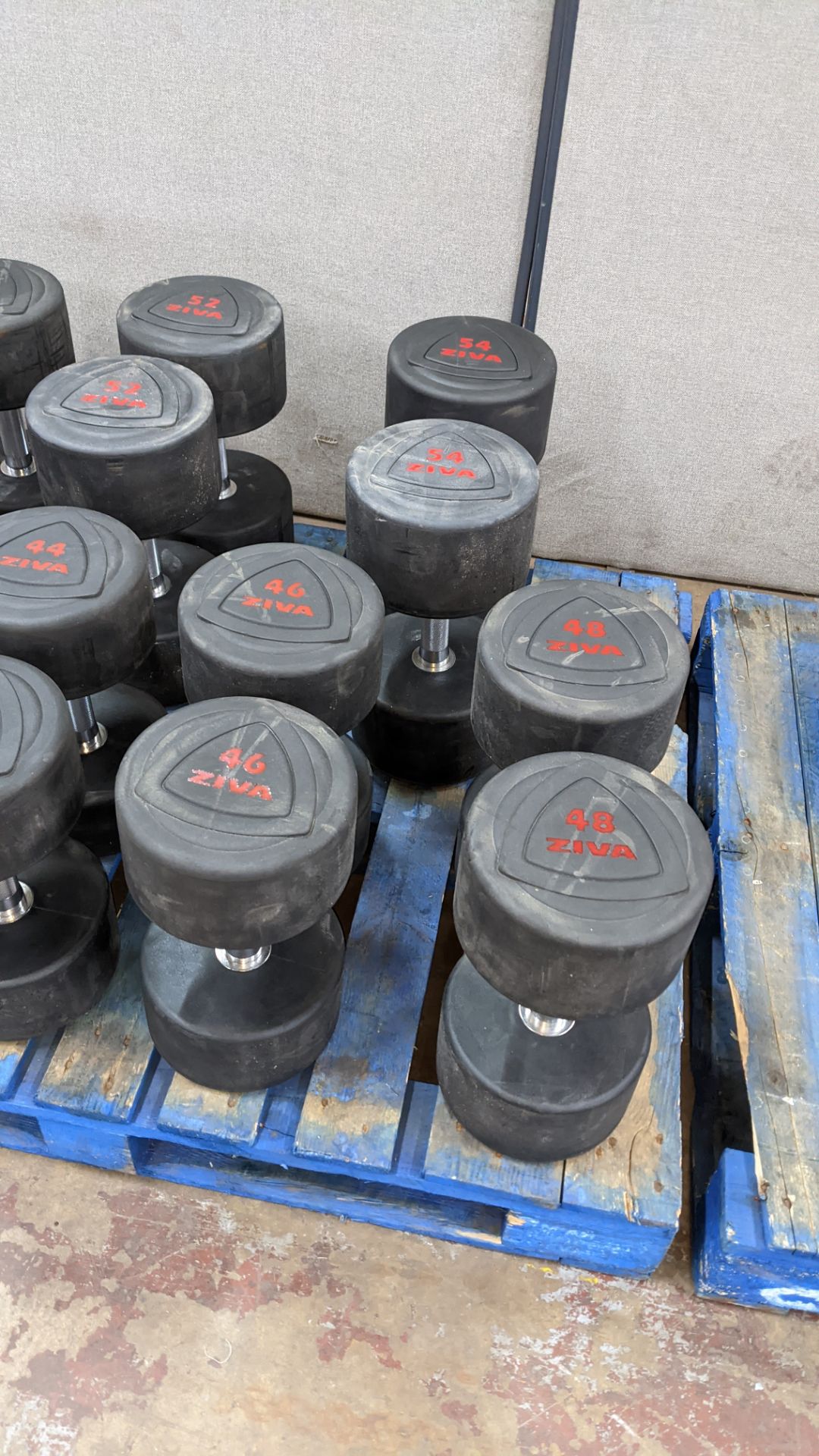 Set of 16 pairs of Ziva ZVO Series rubber dumbbells. - Image 9 of 10