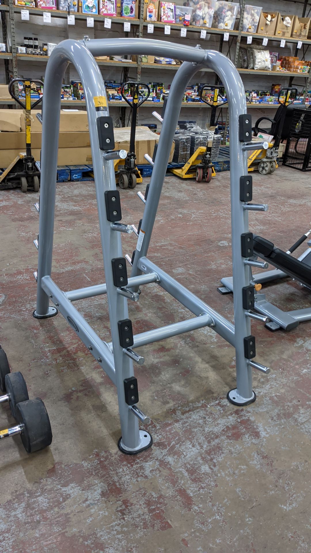 Matrix Aura model FW96 barbell rack