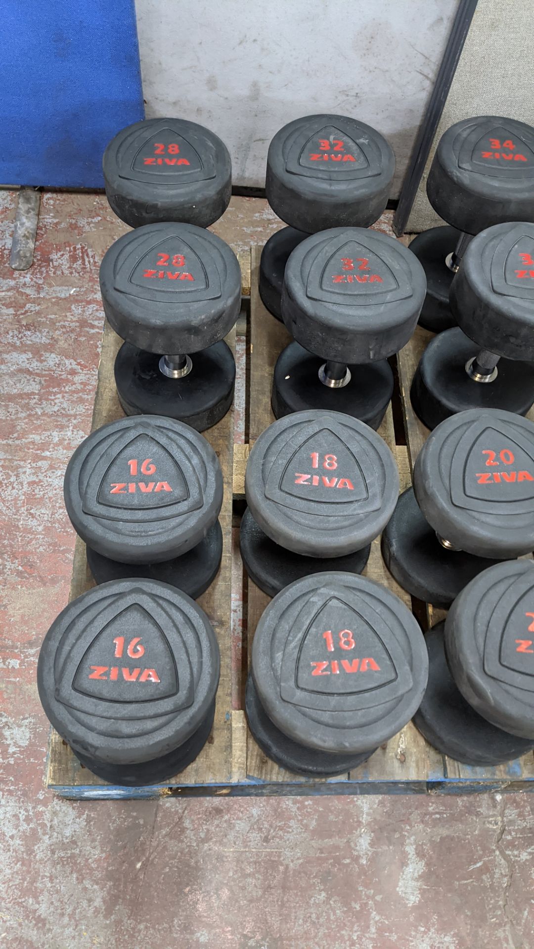 Set of 16 pairs of Ziva ZVO Series rubber dumbbells. - Image 3 of 10