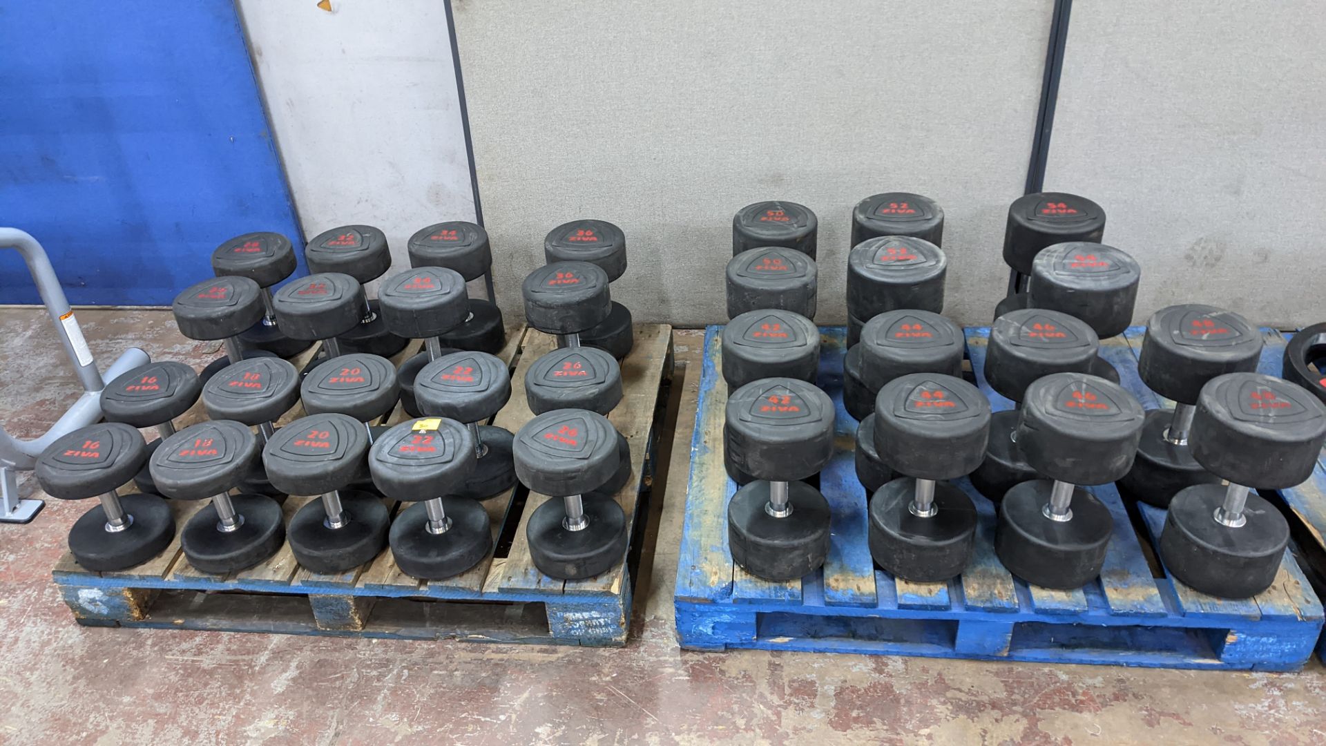 Set of 16 pairs of Ziva ZVO Series rubber dumbbells. - Image 2 of 10