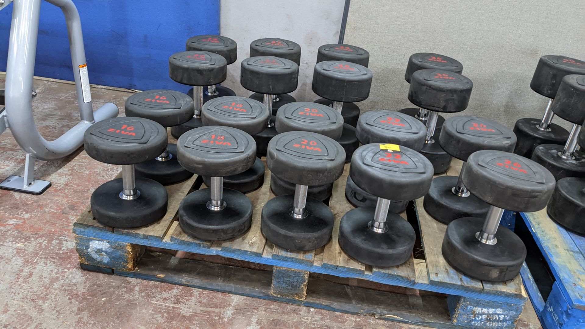 Set of 16 pairs of Ziva ZVO Series rubber dumbbells. - Image 6 of 10