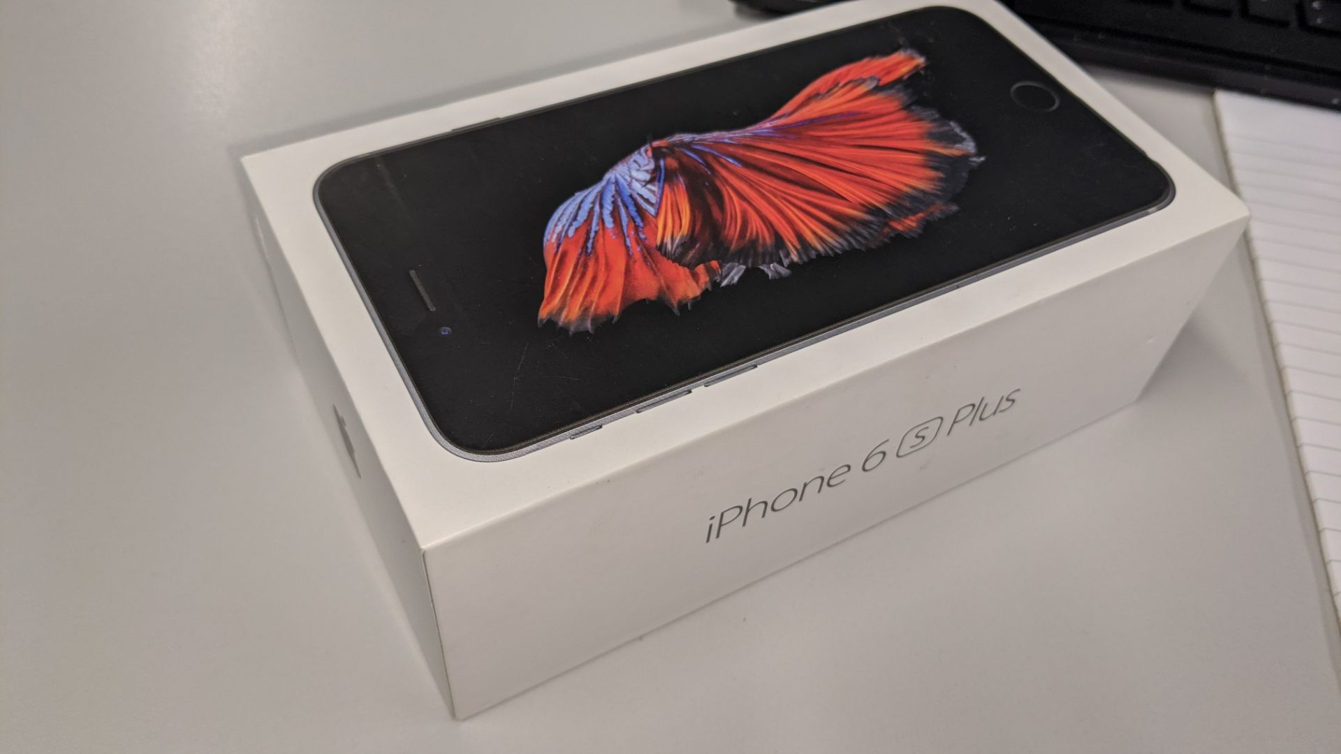 Apple iPhone 6s Plus (32 Gb) in space grey - Image 10 of 38