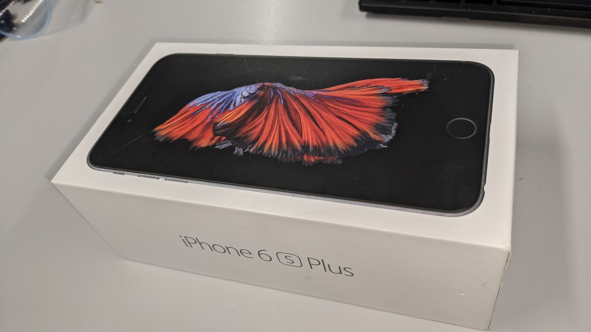 Apple iPhone 6s Plus (32 Gb) in space grey - Image 9 of 38