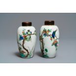 Two Chinese famille verte vases with birds on blossoming branches, Kangxi