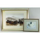 DAVID HASWELL limited edition (89/850) colour print entitled 'Abergavenny Town Scape', 30 x 43cms,