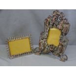PHOTO FRAMES - antique ornate frame and another brass chain link frame