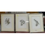 CHARLES TUNNICLIFFE RA three reproduction lithographs of birds of prey and grouse, bearing