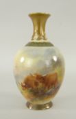 ROYAL WORCESTER SMALL BALUSTER VASE hand painted with highland cattle by Harry Stinton, signed