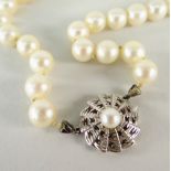 PEARL NECKLACE WITH 14CT WHITE GOLD & PEARL MOUNTED CIRCULAR CLASP