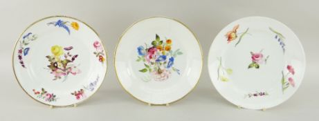 SWANSEA PORCELAIN PLATES all painted with sprays and sprigs of summer flowers, all with red