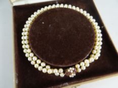 TWIN-STRAND PEARL NECKLACE with 9ct yellow gold ruby and gold clasp, 57.8grams in velvet lined box