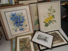 ASSORTED PRINTS & WATERCOLOURS including flower studies