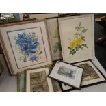 ASSORTED PRINTS & WATERCOLOURS including flower studies