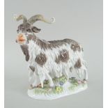 20TH CENTURY MEISSEN MODEL OF A STANDING GOAT on naturalistic floral base, blue cross swords to
