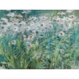 ANDREW DOUGLAS-FORBES oil on board - swathe of swaying daisies, signed, 32 x 42cms, Ceri Richards