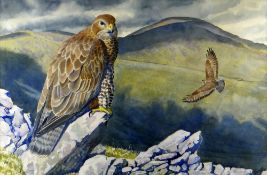 CHARLES FREDERICK TUNNICLIFFE OBE RA watercolour - study of two buzzards in a hilly landscape, one