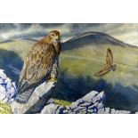 CHARLES FREDERICK TUNNICLIFFE OBE RA watercolour - study of two buzzards in a hilly landscape, one