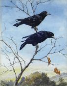 CHARLES FREDERICK TUNNICLIFFE OBE RA early career watercolour - study of two crows in branches,