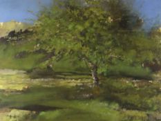 DAVID TRESS watercolour - apple tree, signed and dated 1992, 55 x 74cms