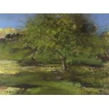 DAVID TRESS watercolour - apple tree, signed and dated 1992, 55 x 74cms