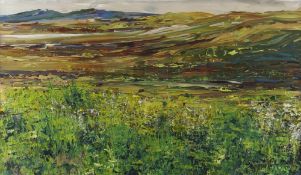 SUE POMERY WILKS acrylic - expansive mountain scene, entitled 'Preseli Hills From Bryn Berian', 44 x