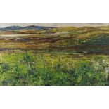 SUE POMERY WILKS acrylic - expansive mountain scene, entitled 'Preseli Hills From Bryn Berian', 44 x