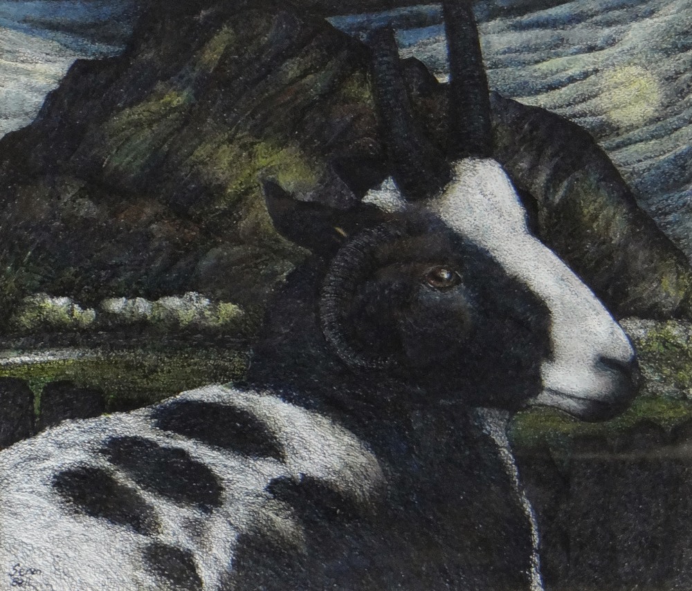 SEREN BELL pen and ink - Jacob sheep in the moonlight, signed, 25 x 30cms