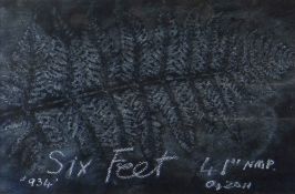 OSI RHYS OSMOND mixed media - leaf study, entitled 'Six Feet (Nine Mile Point)', signed with