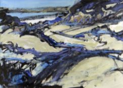 HOWARD COLES mixed media - North Wales coastal landscape, entitled verso 'Harlech Dunes', signed, 32