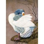 CHARLES FREDERICK TUNNICLIFFE OBE RA watercolour - study of a preening greylag goose, signed, 65 x