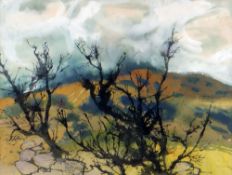 GWILYM PRICHARD mixed media - thorn trees in a landscape, entitled verso 'Llanddona', signed, 27 x