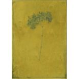 SIGRID MULLER crayon on watercolour on card - study of a hydrangea flower head, entitled verso on