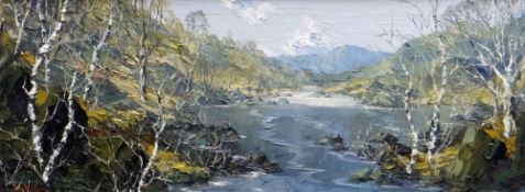 CHARLES WYATT WARREN oil on board - Snowdonia river scene, entitled 'Pool in the River Conwy', on