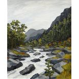 DAVID BARNES oil on board - fast flowing mountain stream, entitled verso 'Aberglaslyn', signed