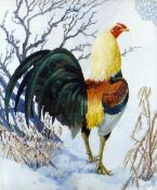 CHARLES FREDERICK TUNNICLIFFE OBE RA watercolour - study of a strutting cockerel in snow, signed, 50