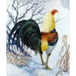 CHARLES FREDERICK TUNNICLIFFE OBE RA watercolour - study of a strutting cockerel in snow, signed, 50