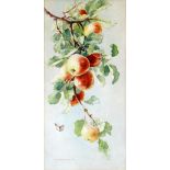 CERI RICHARDS watercolour - study of apples on a branch with butterfly, signed Ceri Giraldus