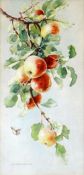 CERI RICHARDS watercolour - study of apples on a branch with butterfly, signed Ceri Giraldus