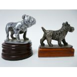 VINTAGE CAR MASCOTS X 2-DOGS by DESMO to include a BULLDOG ,7cms H, 10.5cms L, and a SCOTTIE,7cms H,