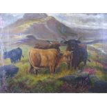 ......SCAIFE-INDISTINCTLY SIGNED oil on canvas landscape with highland cattle, 42x55