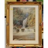 EDWARD SALTER watercolour - The Crooked Falls, vale of Neath, signed and dated 1890, 50 x 34cms