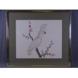 UNATTRIBUTED PRINT - study of a cockatoo on a pink blossom branch, in a quality mount and metal