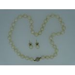 SHORT PEARL NECKLACE with eighteen carat gold clasp and pair of gold mounted earrings, 36grms in a