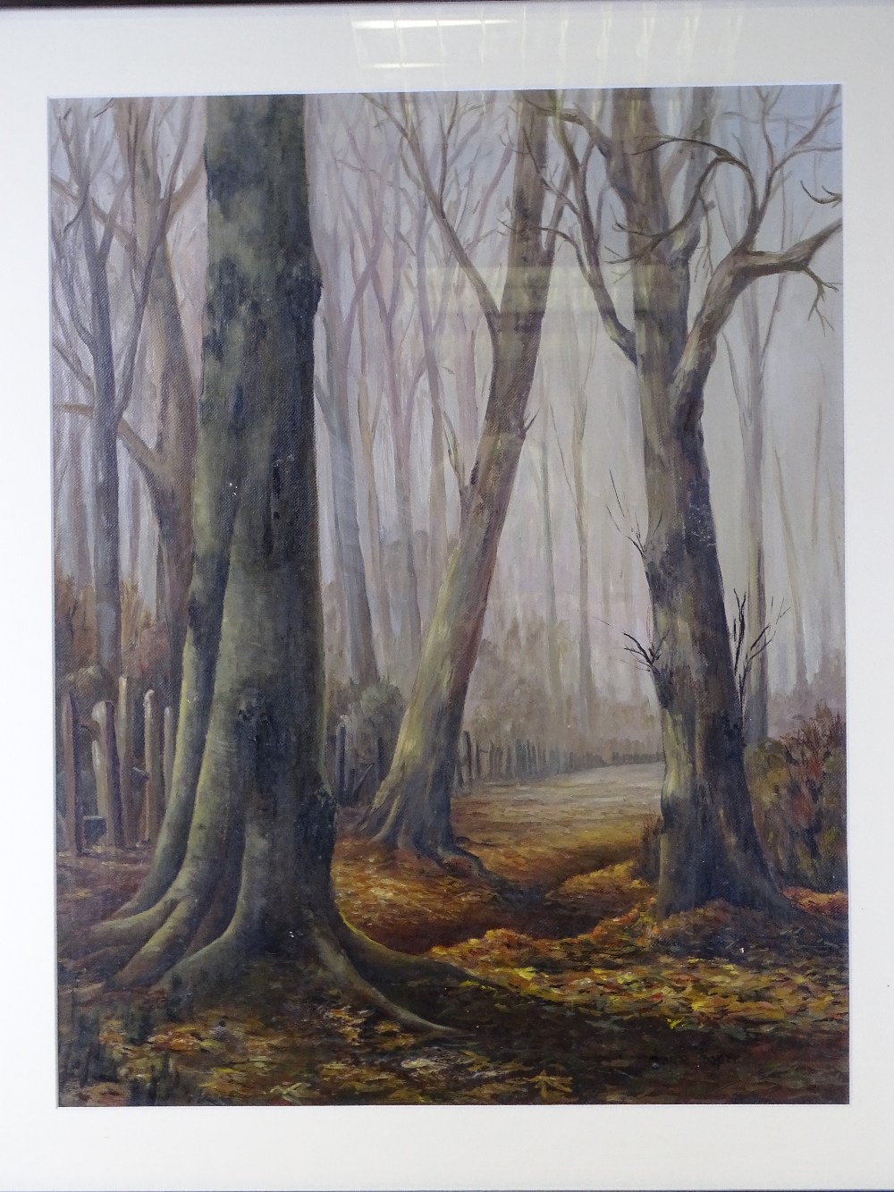 JOYCE COOPER oil - treescape, signed, 52 x 40cms