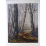 JOYCE COOPER oil - treescape, signed, 52 x 40cms