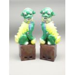PAIR OF FAMILLE VERTE TEMPLE DOGS, LATE CHINESE of typical form seated on square aubergine bases