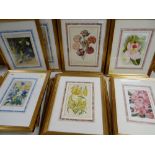 THREE GROUPS OF DECORATIVE FLOWER PRINTS, framed with brown, blue and pink bordered mounts (16)