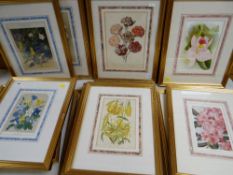 THREE GROUPS OF DECORATIVE FLOWER PRINTS, framed with brown, blue and pink bordered mounts (16)