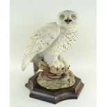 AYNSLEY PORCELAIN 'GREAT SNOWY OWL' limited edition (134/250) figure - modelled by Fred Wright,