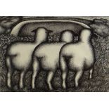 SEREN BELL pen and ink with correction fluid - three sheep looking away into the landscape,